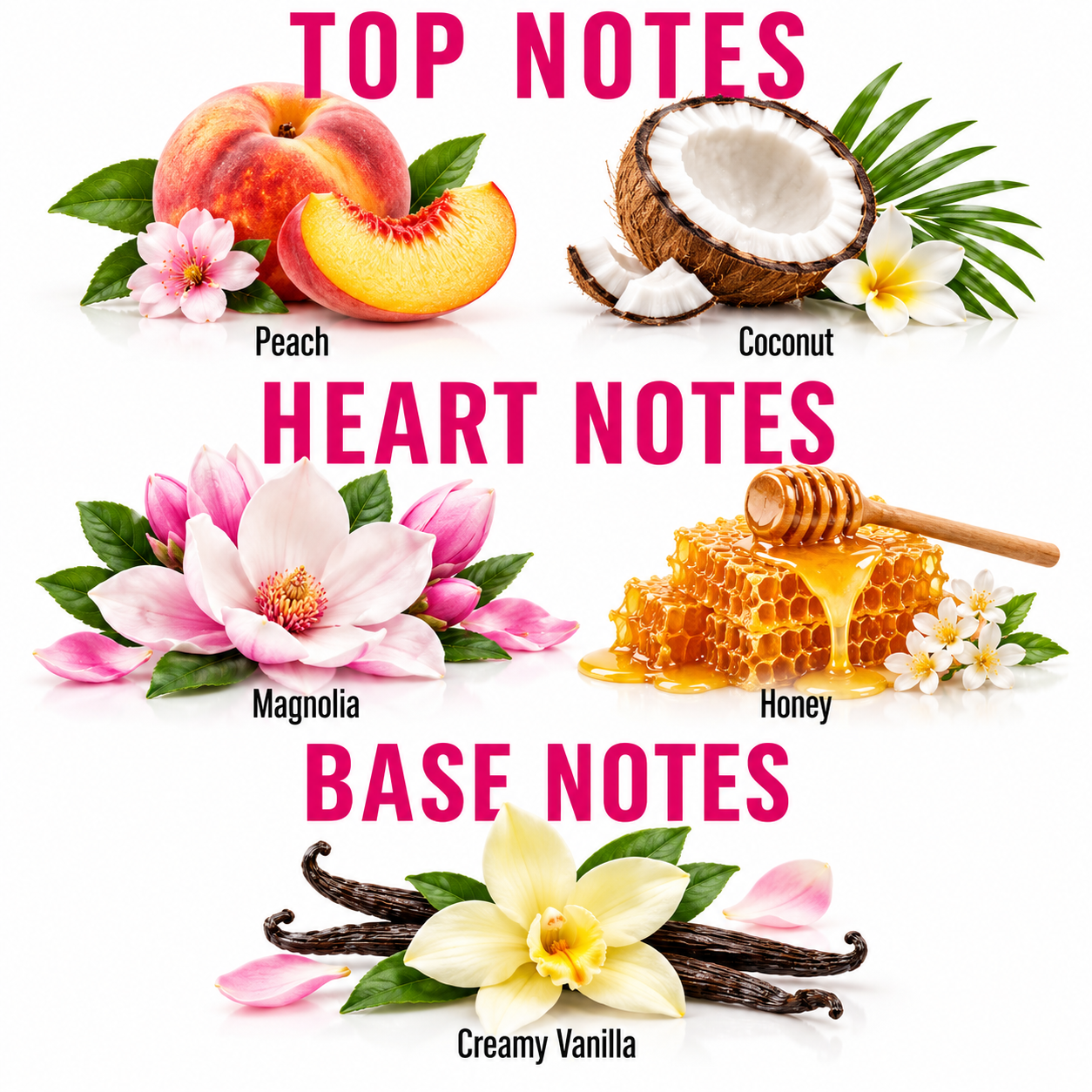 A fragrance scent notes graphic with pink text reading 'TOP NOTES', 'HEART NOTES', and 'BASE NOTES' over a white background. Top notes include peach, coconut, magnolia, and honey.