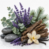 A styled botanical arrangement featuring purple lavender sprigs, green eucalyptus leaves, pine needles, dark brown driftwood logs, smooth gray stones, vanilla beans, and a single cream orchid flower on a white textured background.
