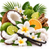 A tropical-themed product arrangement featuring a halved coconut, whole and sliced limes, a orange slice, vanilla beans, white plumeria flowers, green leaves, and white cotton fibers on a clean white background.