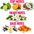 A fragrance notes graphic on a white background with the headings TOP NOTES, HEART NOTES, and BASE NOTES. The top notes section shows bergamot, orange, and coconut.