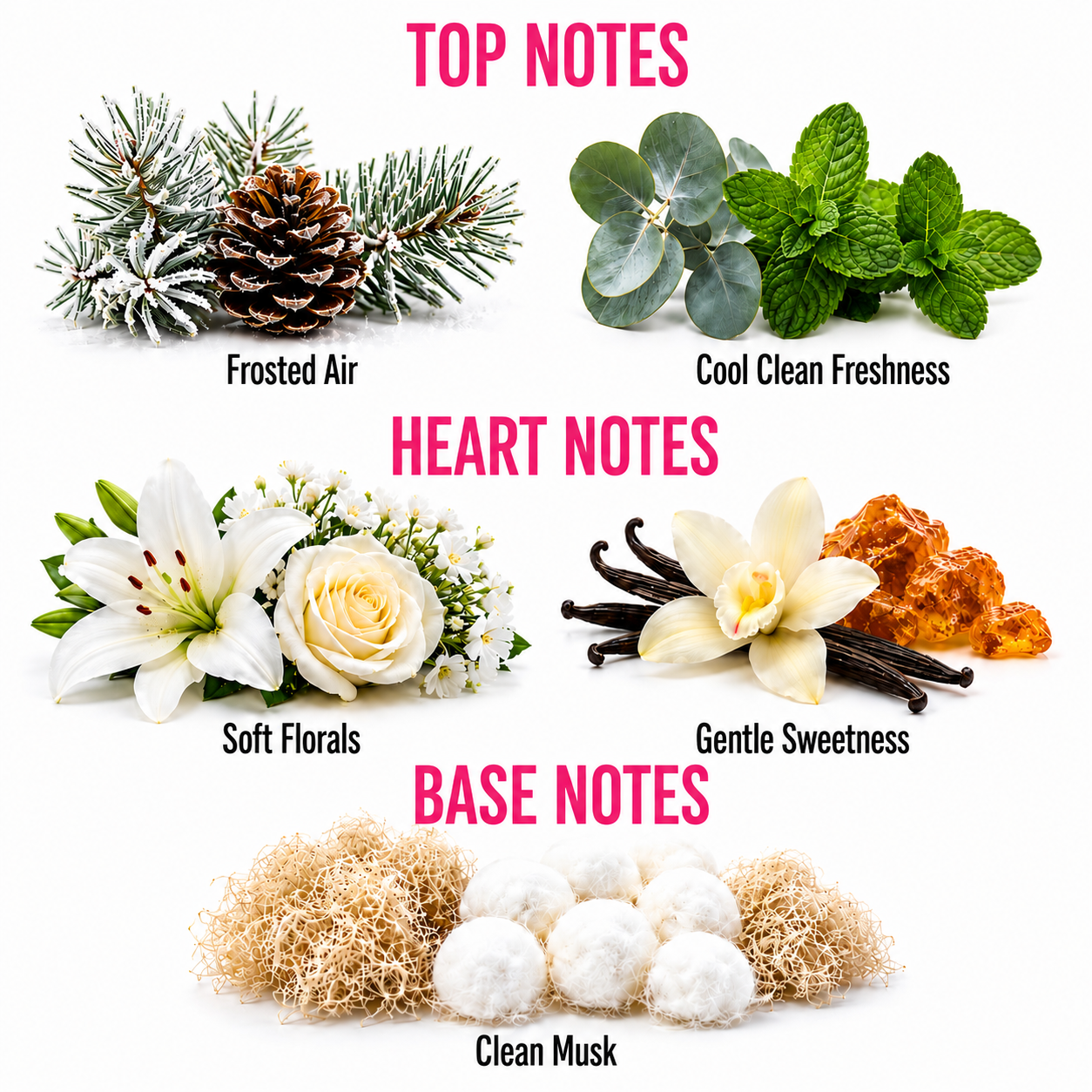 A fragrance notes graphic on a white background with pink headers reading TOP NOTES, HEART NOTES, and BASE NOTES. Top notes show frosted pine branches and a pinecone labeled Frosted Air, and mint leaves labeled Cool Clean Freshness.