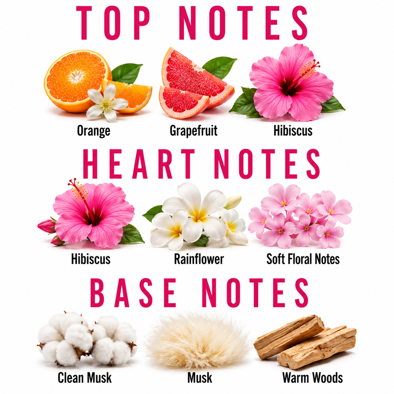 A fragrance notes chart on a white background with pink text reading TOP NOTES, HEART NOTES, and BASE NOTES. Top notes shown include orange, grapefruit, and hibiscus; heart notes include hibiscus, rainflower, and soft floral notes; base notes include clean musk, musk, and warm woods.