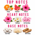 A fragrance notes chart on a white background with pink text reading TOP NOTES, HEART NOTES, and BASE NOTES. Top notes shown include orange, grapefruit, and hibiscus; heart notes include hibiscus, rainflower, and soft floral notes; base notes include clean musk, musk, and warm woods.