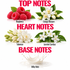 A fragrance notes graphic with the headings 'TOP NOTES', 'HEART NOTES', and 'BASE NOTES' on a white background. Top notes shown are raspberry berries, orange blossom flowers, tuberose flowers, and jasmine sambac flowers.