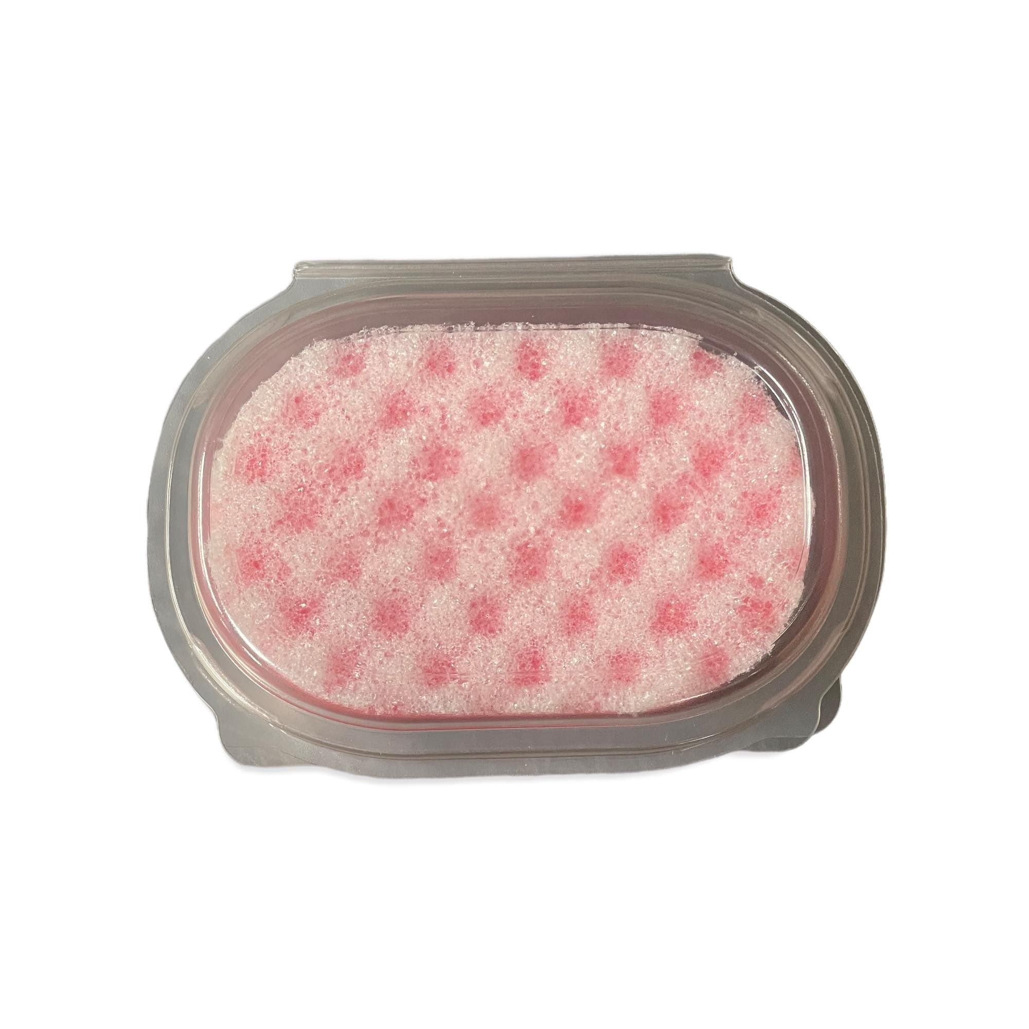 Soap Sponge Clamshells