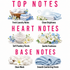 A fragrance notes infographic titled 'TOP NOTES' and 'BASE NOTES' with six illustrated scent categories: Fresh Laundry Notes, Clean Brightness, Soft Powdery Florals, Gentle Freshness, Clean Musk, and Smooth Comforting Finish. The layout uses pink text, white background, and small fragrance-associated illustrations such as folded laundry, flowers, cotton, and a folded blue towel.