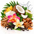 A styled arrangement of tropical and vanilla ingredients on a white reflective surface: a halved coconut, a whole green coconut, pineapple, vanilla beans, orchid flowers, cinnamon sticks, nuts, and caramel pieces, with a small bowl of white cream and a splash graphic in the background.