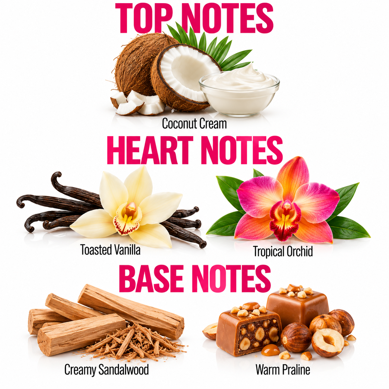 A fragrance notes graphic with the headings TOP NOTES, HEART NOTES, and BASE NOTES on a white background. Top notes shown are Coconut Cream with a coconut and cream bowl; heart notes are Toasted Vanilla with vanilla beans and a flower, and Tropical Orchid with a pink orchid flower; base notes are Creamy Sandalwood and Warm Praline with wood chips and praline squares with nuts.