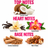 A fragrance notes graphic with the headings TOP NOTES, HEART NOTES, and BASE NOTES on a white background. Top notes shown are Coconut Cream with a coconut and cream bowl; heart notes are Toasted Vanilla with vanilla beans and a flower, and Tropical Orchid with a pink orchid flower; base notes are Creamy Sandalwood and Warm Praline with wood chips and praline squares with nuts.