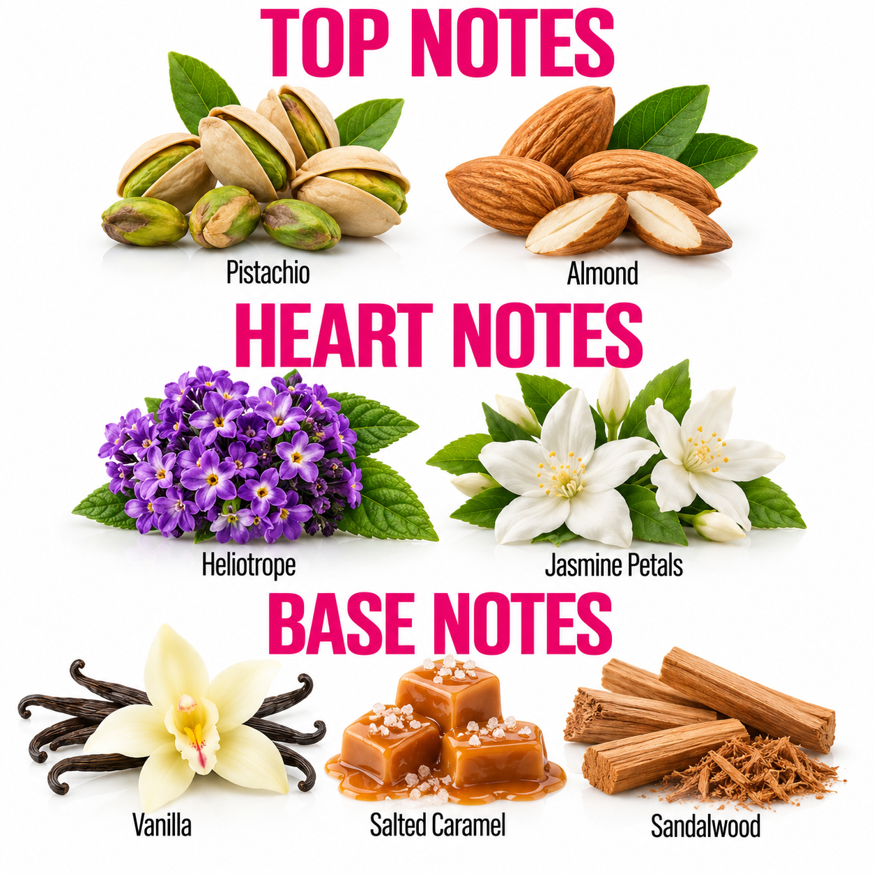 A fragrance notes graphic on a white background with pink text reading TOP NOTES, HEART NOTES, and BASE NOTES. Top notes include pistachio, almond, heliotrope flowers, and jasmine petals.
