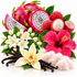 A colorful still life of assorted fruits, flowers, and vanilla beans on a white background: sliced dragon fruit, lychees, white blossoms, a large pink hibiscus flower, vanilla beans, and fluffy pale pink sugar or cotton.