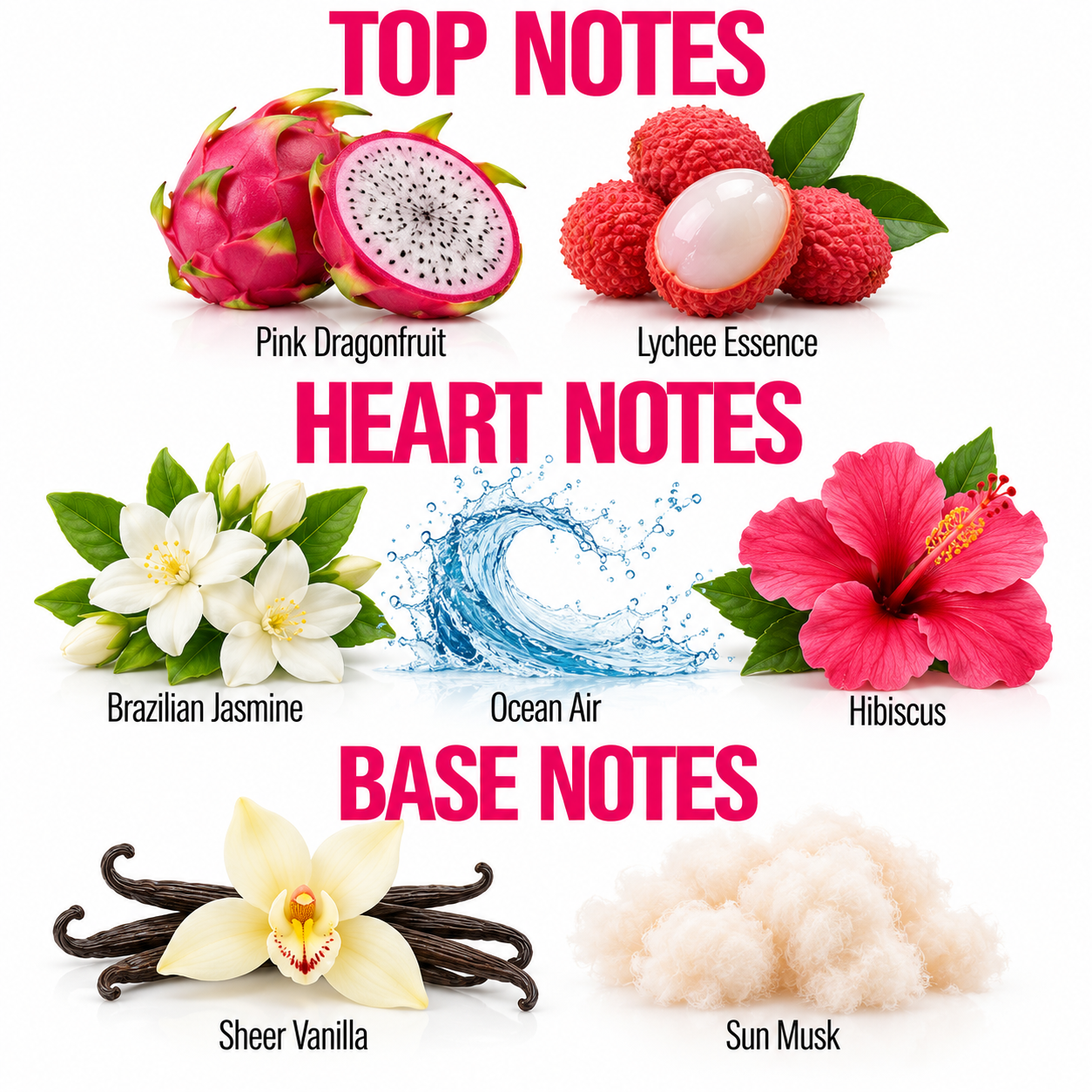 A fragrance notes graphic with the headings TOP NOTES, HEART NOTES, and BASE NOTES on a white background. Visible ingredients include pink dragonfruit, lychee essence, Brazilian jasmine flowers, ocean air/wave imagery, hibiscus flower, sheer vanilla beans, and sun musk.