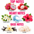 A fragrance notes graphic with the headings TOP NOTES, HEART NOTES, and BASE NOTES on a white background. Visible ingredients include pink dragonfruit, lychee essence, Brazilian jasmine flowers, ocean air/wave imagery, hibiscus flower, sheer vanilla beans, and sun musk.