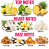 A fragrance notes graphic with the headings TOP NOTES, HEART NOTES, and BASE NOTES. It shows illustrated and photographed ingredients labeled Brazilian Lemonade Accord, Bergamot Zest, Juicy Pineapple, Coconut Milk, Solar Florals, Milky Musk, Brown Sugar, Creamy Vanilla, Light Amber, and Blonde Woods on a white background.