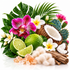 A tropical-themed still life arrangement featuring a halved coconut, green limes, white plumeria flowers, a bright pink orchid, green palm and monstera leaves, pink cactus pads, wood bark, white fluffy cotton, and pink crystal stones on a white background.