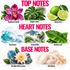 A fragrance notes graphic with the headings TOP NOTES, HEART NOTES, and BASE NOTES. Top notes include a pink orchid labeled Rainforest Orchid, green jungle leaves labeled Jungle Leaves, and limes labeled Dewy Lime.