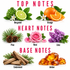 A fragrance notes graphic on a white background with pink text reading TOP NOTES, HEART NOTES, and BASE NOTES. Top notes shown are Bergamot with green fruit and lime slices, Orange with citrus slices, Pine with pinecones and needles, Rose with a pink rose, Lilac with purple flowers, and Cedarwood with wood logs and greenery.