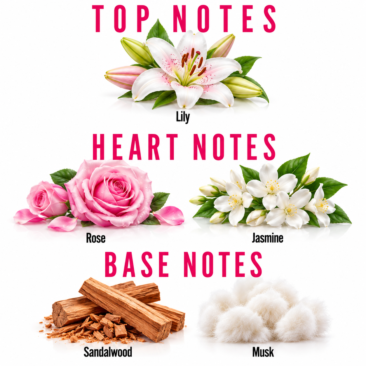 A floral and material notes graphic on a white background with pink text reading TOP NOTES, HEART NOTES, and BASE NOTES. Top notes show a lily flower, pink roses, white jasmine blossoms, sandalwood pieces, and fluffy white fibers, each labeled with its scent name.