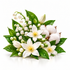 A botanical-style floral cluster with white blossoms, green leaves, cotton bolls, and small bell-shaped flowers on a clean white background.
