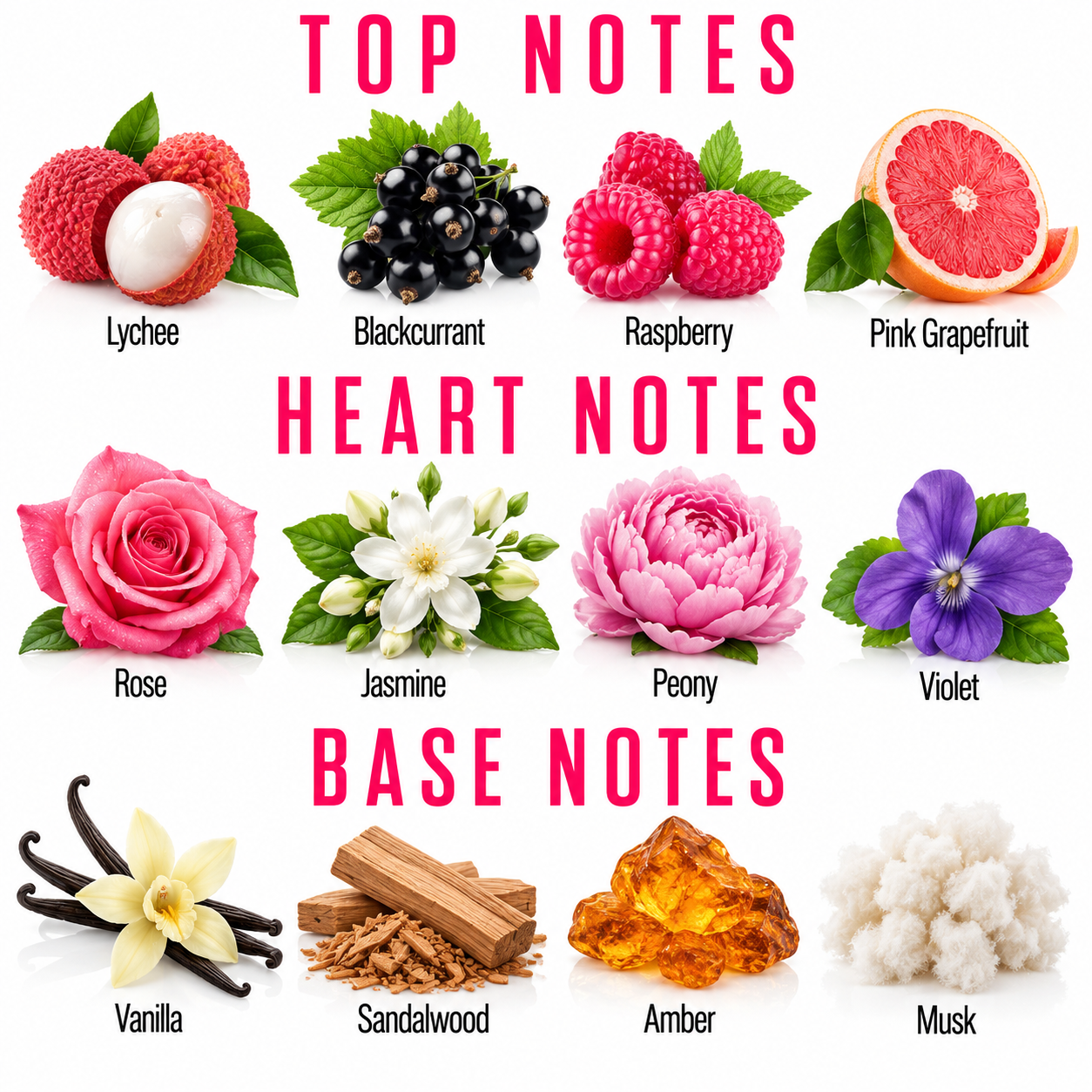 A fragrance notes graphic titled with TOP NOTES, HEART NOTES, and BASE NOTES. The top notes section shows lychee, blackcurrant, raspberry, and pink grapefruit fruits.