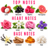 A fragrance notes graphic titled with TOP NOTES, HEART NOTES, and BASE NOTES. The top notes section shows lychee, blackcurrant, raspberry, and pink grapefruit fruits.