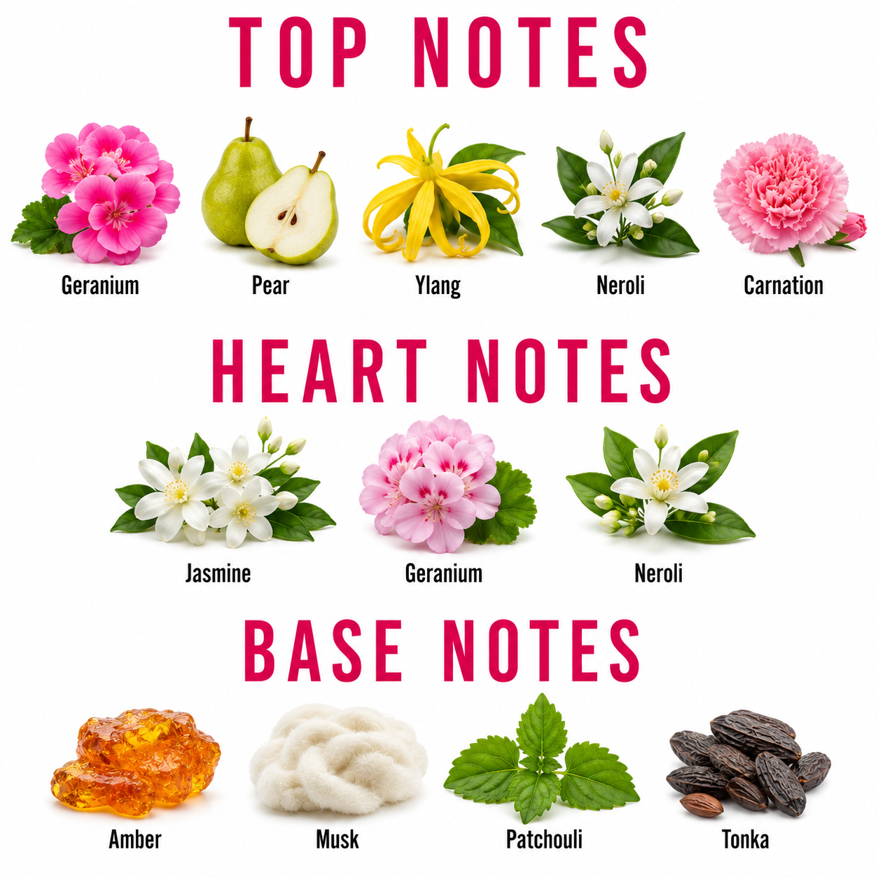 A fragrance notes chart on a white background with pink headers reading TOP NOTES, HEART NOTES, and BASE NOTES. Top notes shown are Geranium, Pear, Ylang, Neroli, and Carnation.