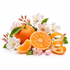 A styled fruit arrangement on a white background featuring whole and sliced oranges, orange peels, green leaves, and small white and pink blossoms.