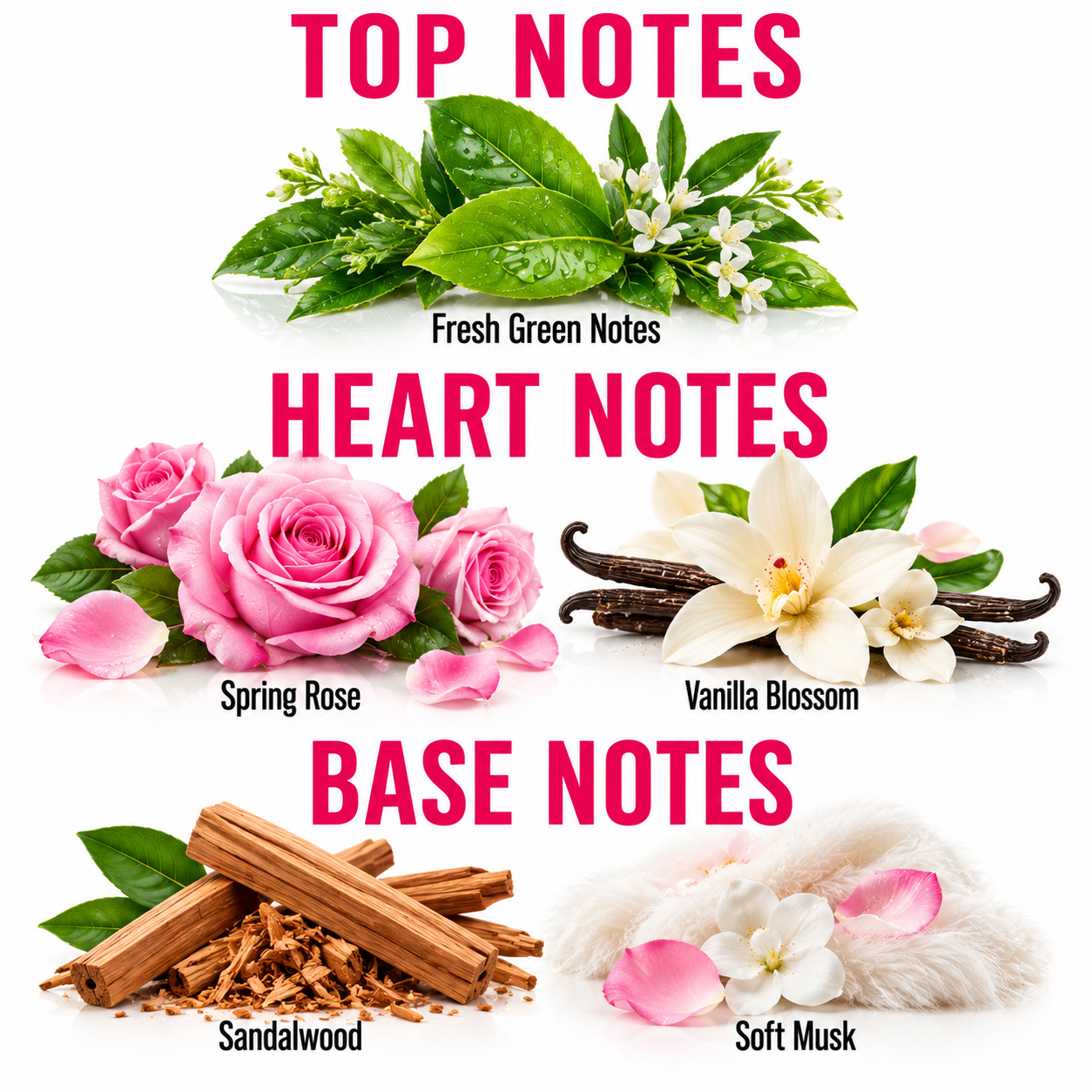 A fragrance notes graphic on a white background with pink text reading TOP NOTES, HEART NOTES, and BASE NOTES. Fresh green leaves and small white flowers are labeled Fresh Green Notes.