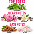 A fragrance notes graphic on a white background with pink text reading TOP NOTES, HEART NOTES, and BASE NOTES. Fresh green leaves and small white flowers are labeled Fresh Green Notes.
