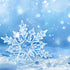 A close-up image of a snowflake with a fragrant oil bottle in the background, suggesting the product is a fragrance oil with a winter theme.