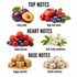 Sugar Plum Fragrance Oil notes featuring juicy plum, ripe fruits, sweet berries, soft fruity sweetness, sugary warmth and gentle softness on a clean white background.
