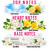 A fragrance notes graphic with three labeled sections: Top Notes, Heart Notes, and Base Notes. The top section shows a bright blue sky with clouds, sun rays, lemons, and water droplets labeled 'Crisp Fresh Air' and 'Clean Brightness.