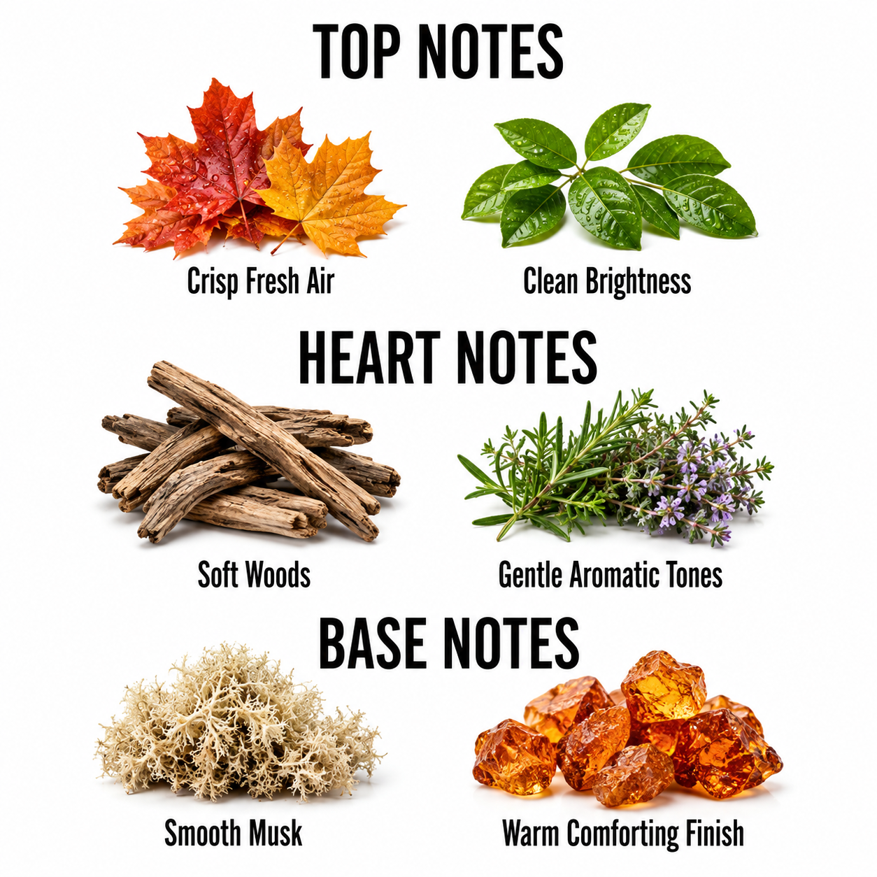 A fragrance notes graphic on a white background with the headings TOP NOTES, HEART NOTES, and BASE NOTES. Top notes shown are crisp fresh air from orange and yellow autumn leaves and clean brightness from green leaves.
