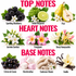 A fragrance notes graphic with the headings TOP NOTES, HEART NOTES, and BASE NOTES. Each section shows a botanical/floral ingredient illustration with a label underneath: sparkling blackberry, Italian bergamot, pear, jasmine sambac, frangipani, dewy honeysuckle, crème de cassis, marshmallow, cashmere woods, and vanilla.