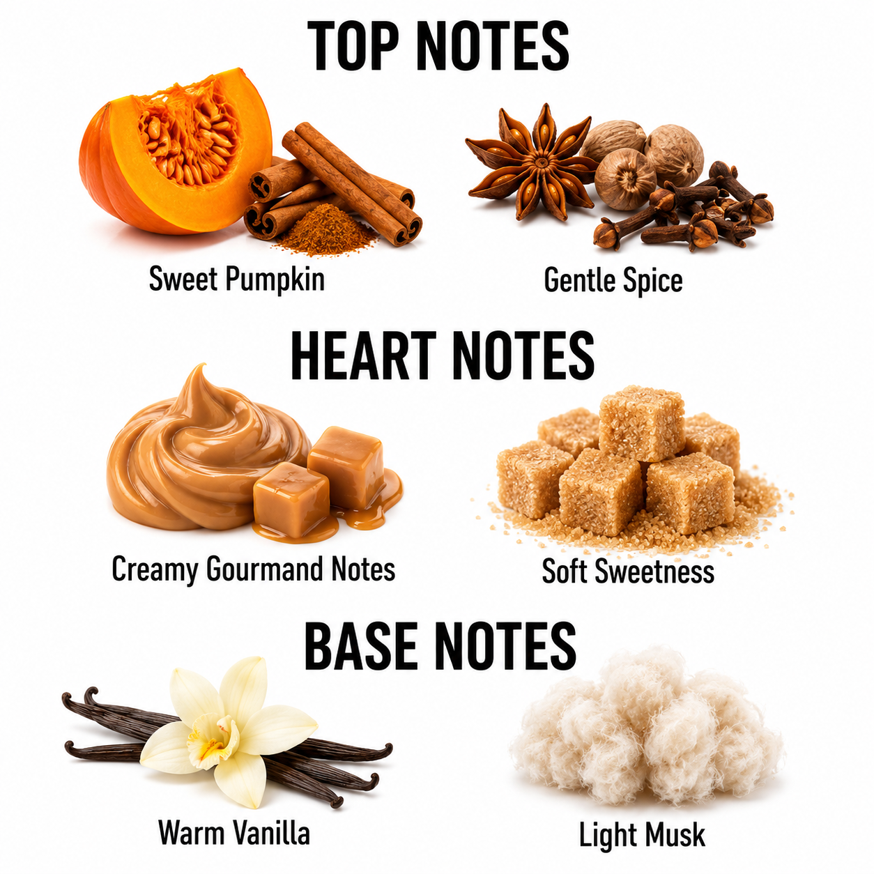 A fragrance notes graphic on a white background with six labeled visual examples: Top Notes show Sweet Pumpkin and Gentle Spice; Heart Notes show Creamy Gourmand Notes and Soft Sweetness; Base Notes show Warm Vanilla and Light Musk.