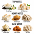 A fragrance scent profile graphic with labeled sections for Top Notes, Heart Notes, and Base Notes. Visual examples include vanilla sugar, soft sweetness marshmallows, toasted sugar, a cream knit scarf, creamy vanilla, light caramel cubes, and soft musk, arranged on a white background with text labels.