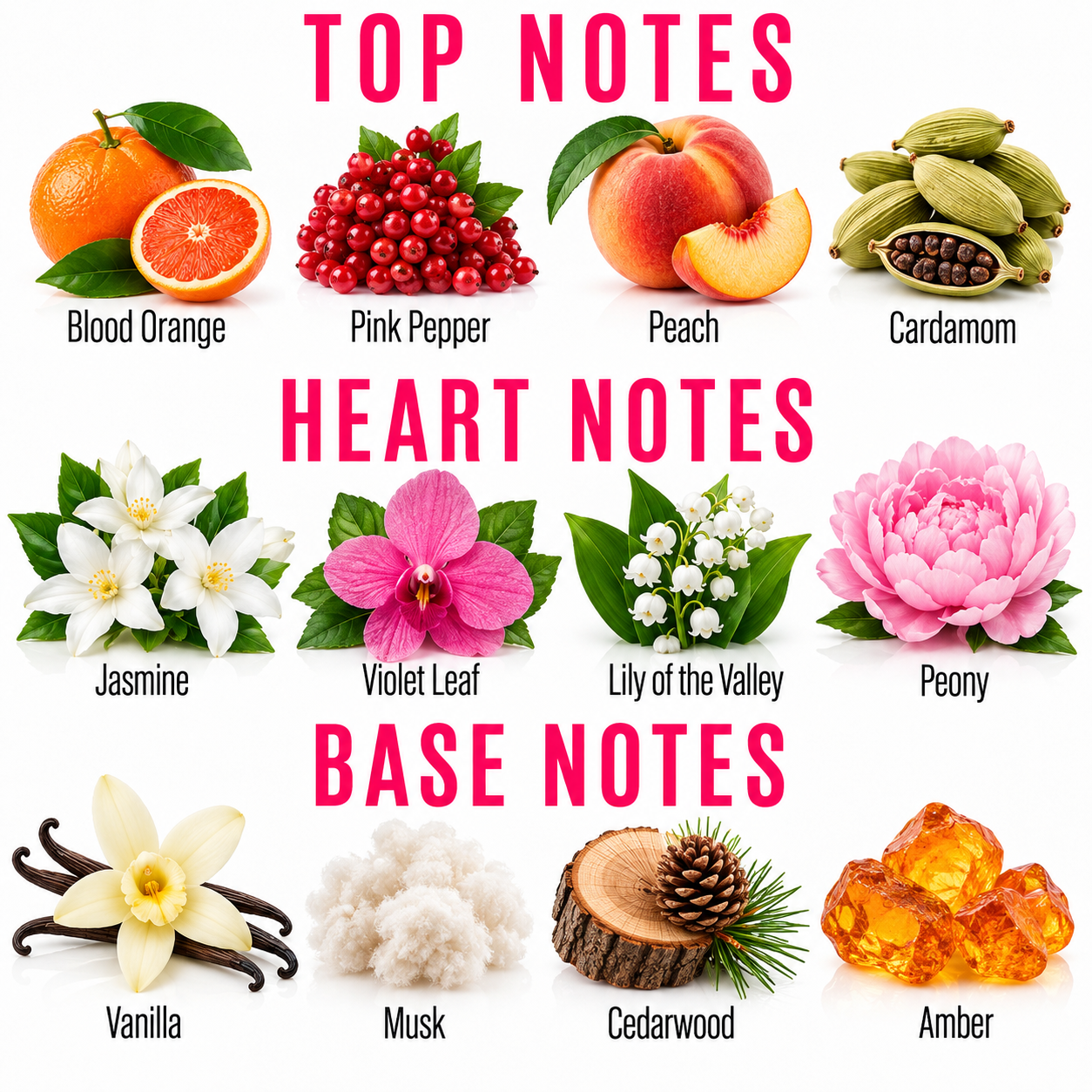 A fragrance notes chart titled 'TOP NOTES', 'HEART NOTES', and 'BASE NOTES' with labeled illustrations of ingredients including blood orange, pink pepper, peach, cardamom, jasmine, violet leaf, lily of the valley, peony, vanilla, musk, cedarwood, and amber on a white background.