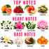A fragrance notes chart titled 'TOP NOTES', 'HEART NOTES', and 'BASE NOTES' with labeled illustrations of ingredients including blood orange, pink pepper, peach, cardamom, jasmine, violet leaf, lily of the valley, peony, vanilla, musk, cedarwood, and amber on a white background.