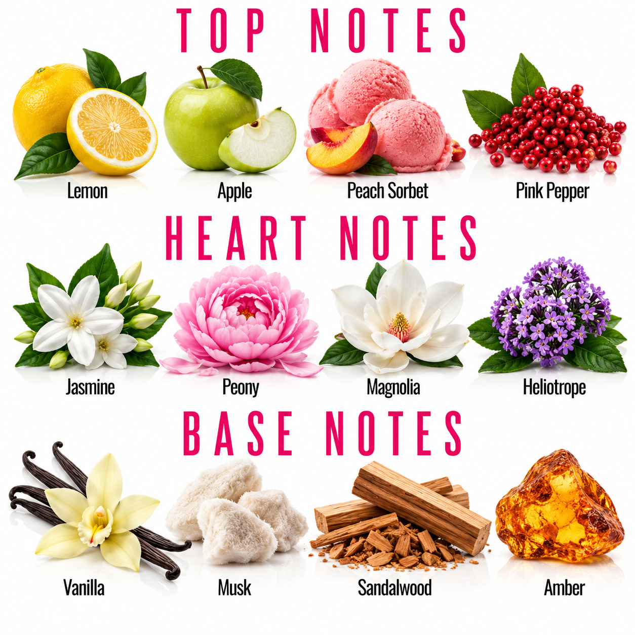 A fragrance notes chart titled 'TOP NOTES', 'HEART NOTES', and 'BASE NOTES' showing illustrated scent ingredients: lemon, apple, peach sorbet, pink pepper, jasmine, peony, magnolia, heliotrope, vanilla, musk, sandalwood, and amber, with text labels on a white background.