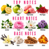 A fragrance notes chart titled 'TOP NOTES', 'HEART NOTES', and 'BASE NOTES' showing illustrated scent ingredients: lemon, apple, peach sorbet, pink pepper, jasmine, peony, magnolia, heliotrope, vanilla, musk, sandalwood, and amber, with text labels on a white background.
