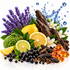 A styled arrangement of natural fragrance ingredients on a white background, including purple lavender sprigs, yellow lemons, green kumquats, dark vanilla pods, black berries, white blossoms, and amber resin crystals, with a blue water splash graphic behind them.