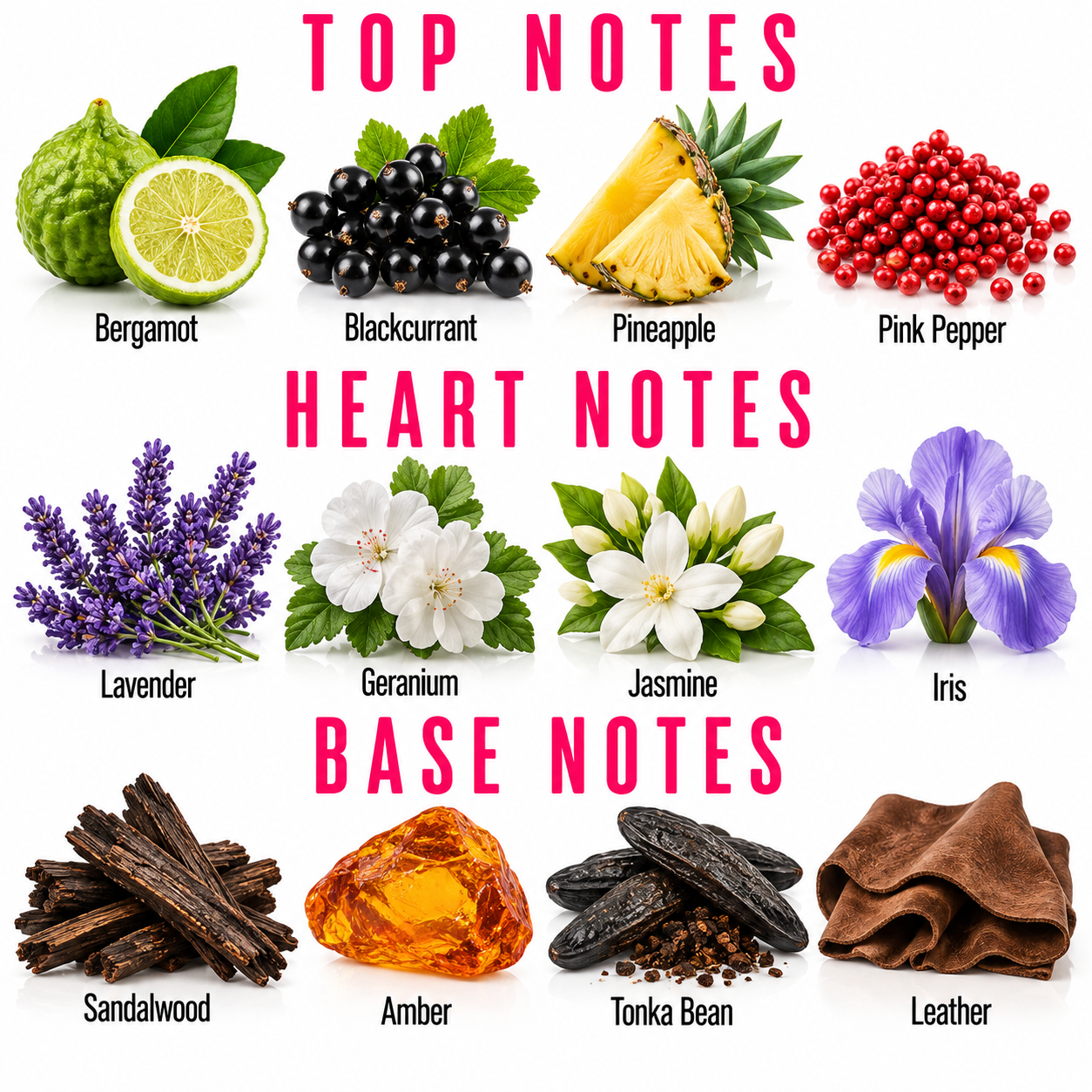 A fragrance notes chart on a white background, divided into Top Notes, Heart Notes, and Base Notes. Each note is labeled with a botanical or material name and shown with a small photo: bergamot, blackcurrant, pineapple, pink pepper, lavender, geranium, jasmine, iris, sandalwood, amber, tonka bean, and leather.