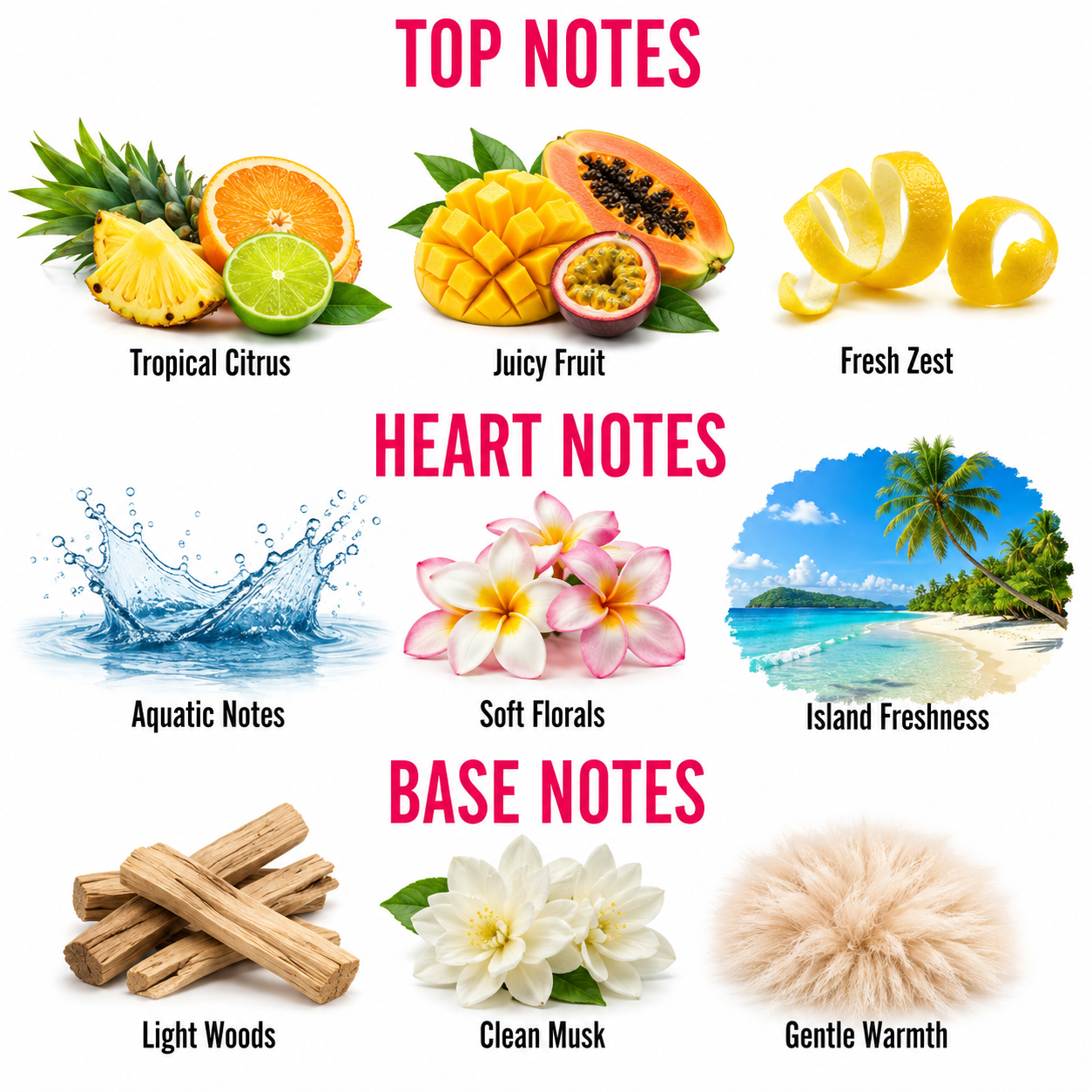 A fragrance notes graphic with the headings TOP NOTES, HEART NOTES, and BASE NOTES. Top notes include Tropical Citrus, Juicy Fruit, and Fresh Zest with corresponding fruit illustrations.