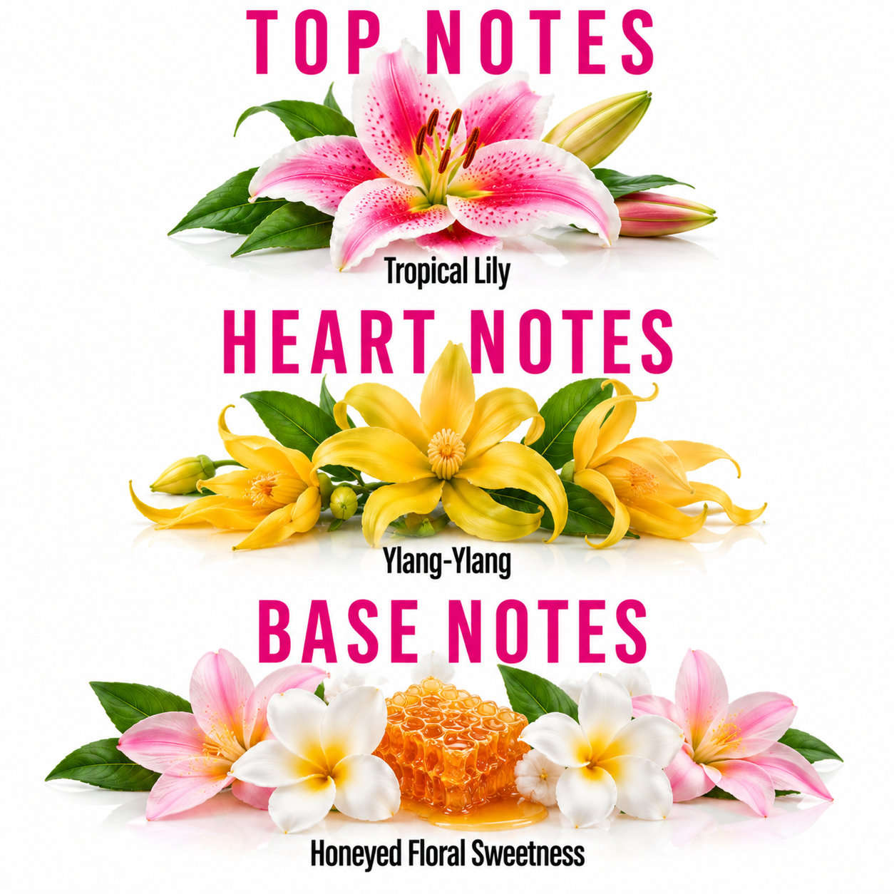 A fragrance notes graphic on a white background with pink text reading 'TOP NOTES', 'HEART NOTES', and 'BASE NOTES'. Top notes show a pink tropical lily labeled 'Tropical Lily'; heart notes show yellow ylang-ylang flowers labeled 'Ylang-Ylang'; base notes show pink and white flowers with honeycomb and honey labeled 'Honeyed Floral Sweetness'.