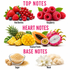 A fragrance notes graphic on a white background with pink headings reading TOP NOTES, HEART NOTES, and BASE NOTES. Top notes show red berries and raspberry clusters labeled 'Red Berries' and 'Raspberry.