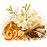 A styled still life of white flowers, orange peel slices, cinnamon sticks, star anise, and gold beads arranged around a large amber honeycomb block on a clean white background.