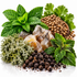 A botanical ingredient arrangement on a white background featuring fresh green mint and cilantro leaves, brown whole peppercorns, pale yellowish-beige crystals, and pale green-gray lichen. No people, animals, or real-world environments are present, classifying this as Product/Packaging.
