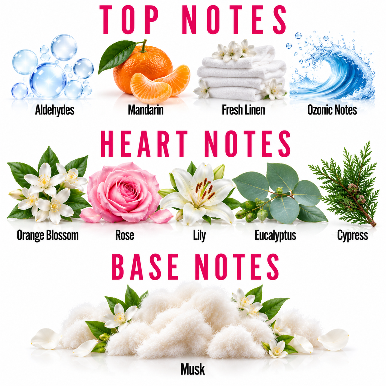 A fragrance notes graphic with pink text reading 'TOP NOTES', 'HEART NOTES', and 'BASE NOTES' on a white background. Top notes shown include aldehydes, mandarin, fresh linen, and ozonic notes; heart notes include orange blossom, rose, lily, eucalyptus, and cypress; base note is musk, represented by fluffy white cotton-like texture with flowers around it.