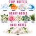 A fragrance notes graphic with pink text reading 'TOP NOTES', 'HEART NOTES', and 'BASE NOTES' on a white background. Top notes shown include aldehydes, mandarin, fresh linen, and ozonic notes; heart notes include orange blossom, rose, lily, eucalyptus, and cypress; base note is musk, represented by fluffy white cotton-like texture with flowers around it.