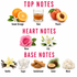 A fragrance notes graphic on a white background with the headings TOP NOTES, HEART NOTES, and BASE NOTES. Top notes shown are Sweet Orange, Rum, and Peach.